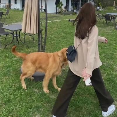 剧演的终章